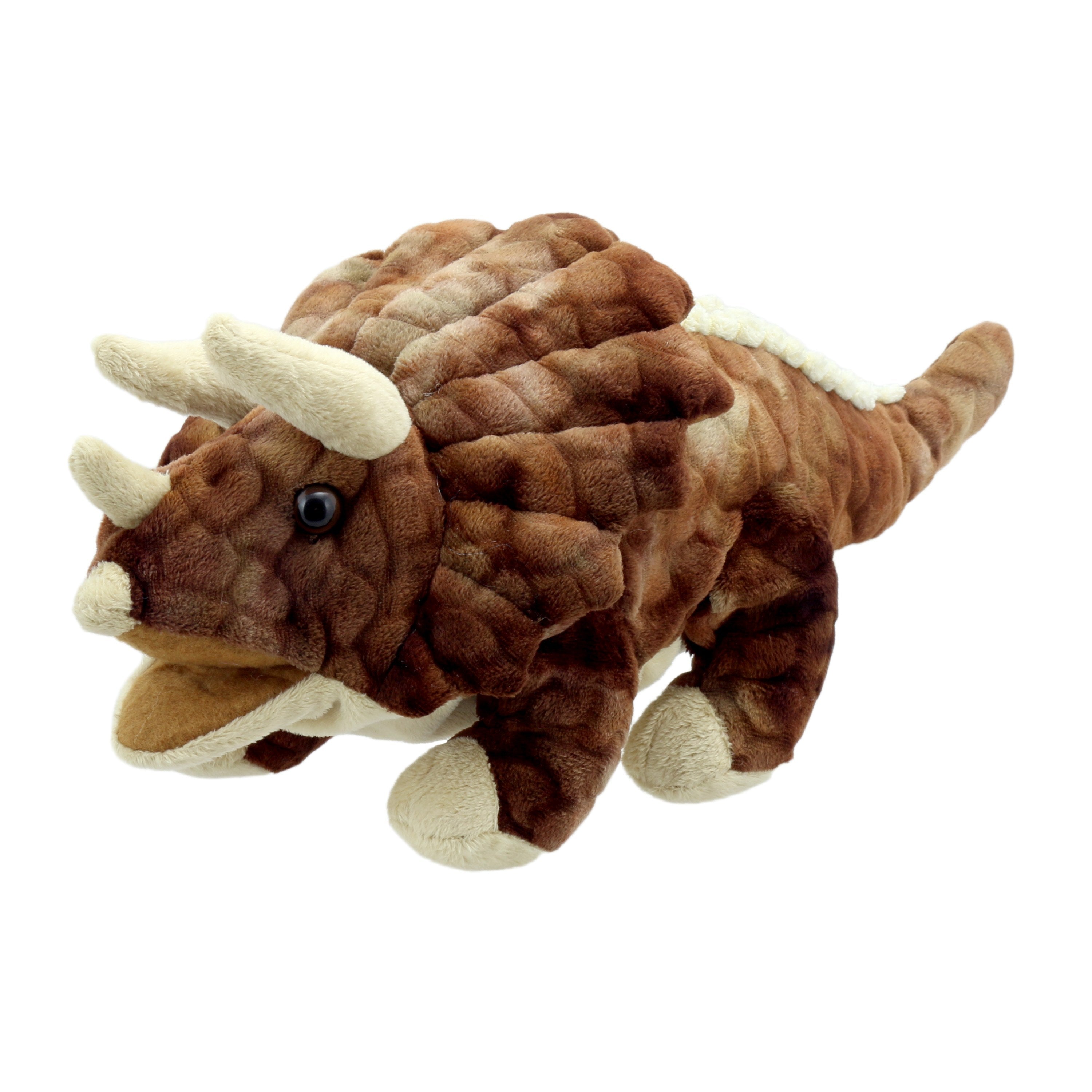 Bebé Triceratops (Café)