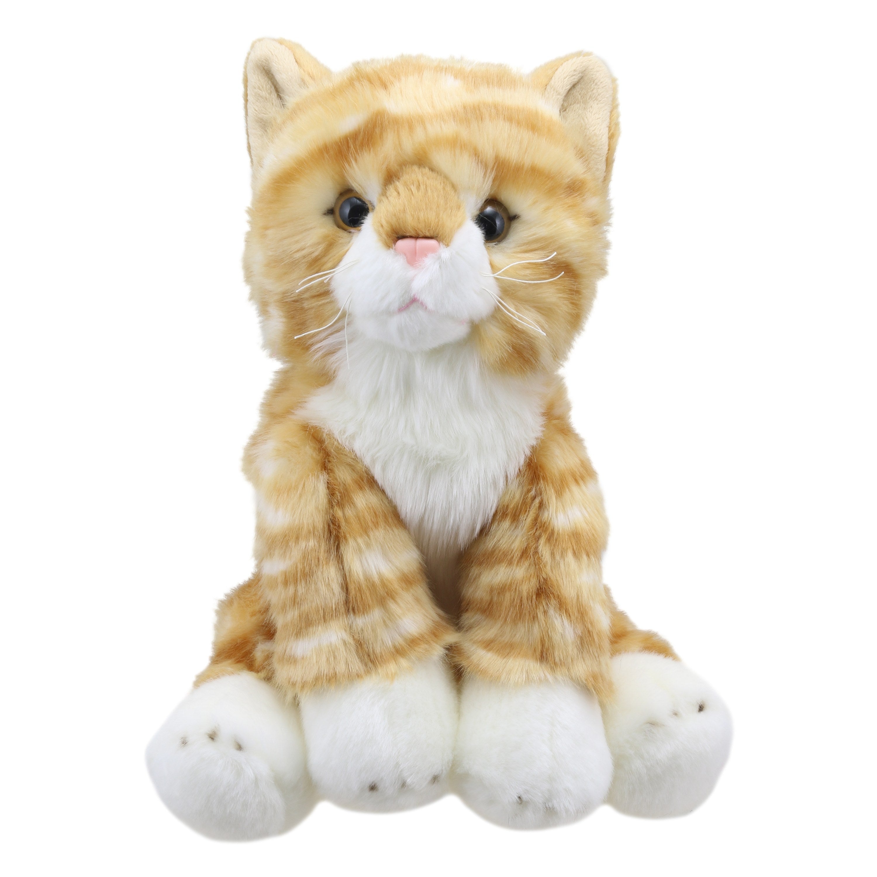 Gato (Naranja)