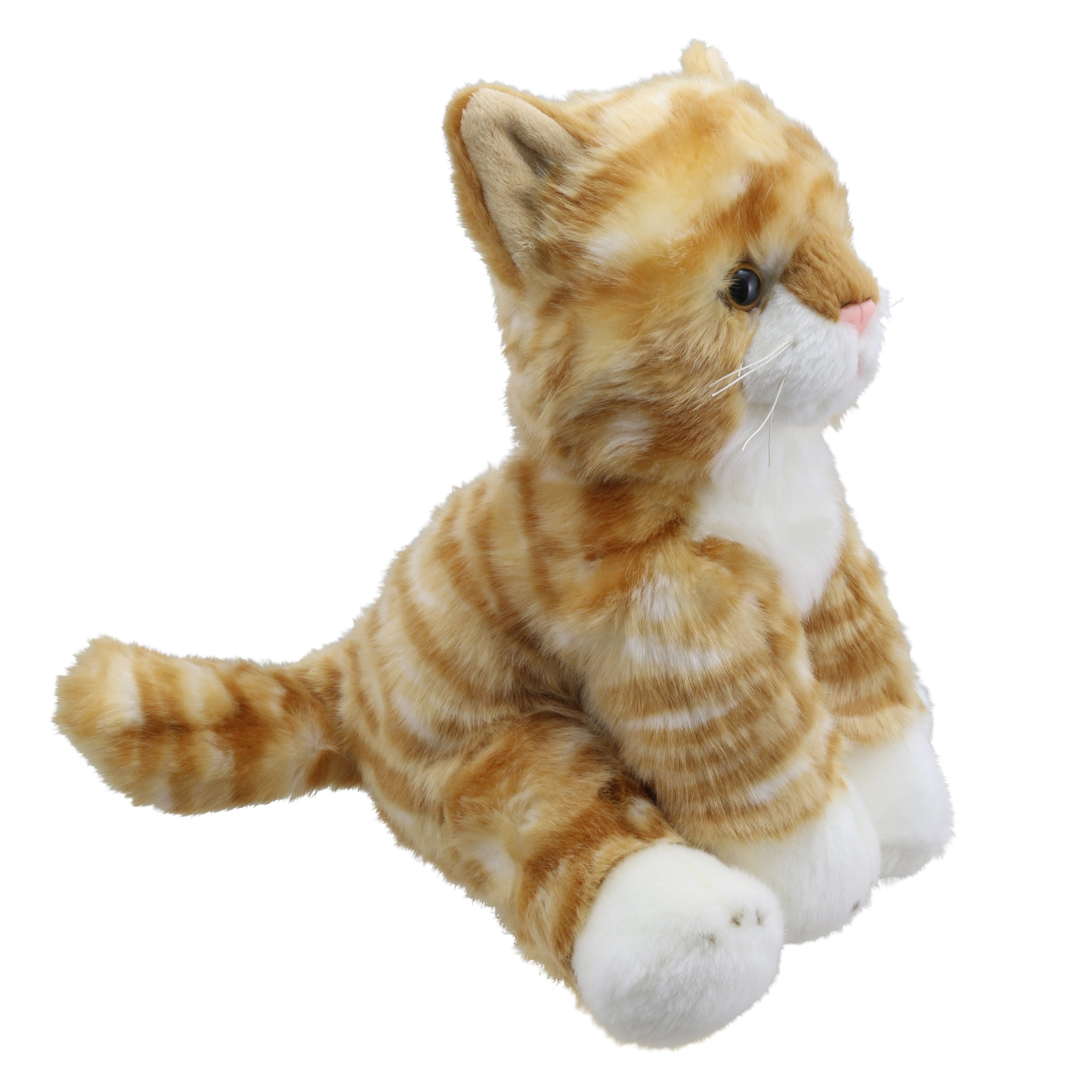 Gato (Naranja)