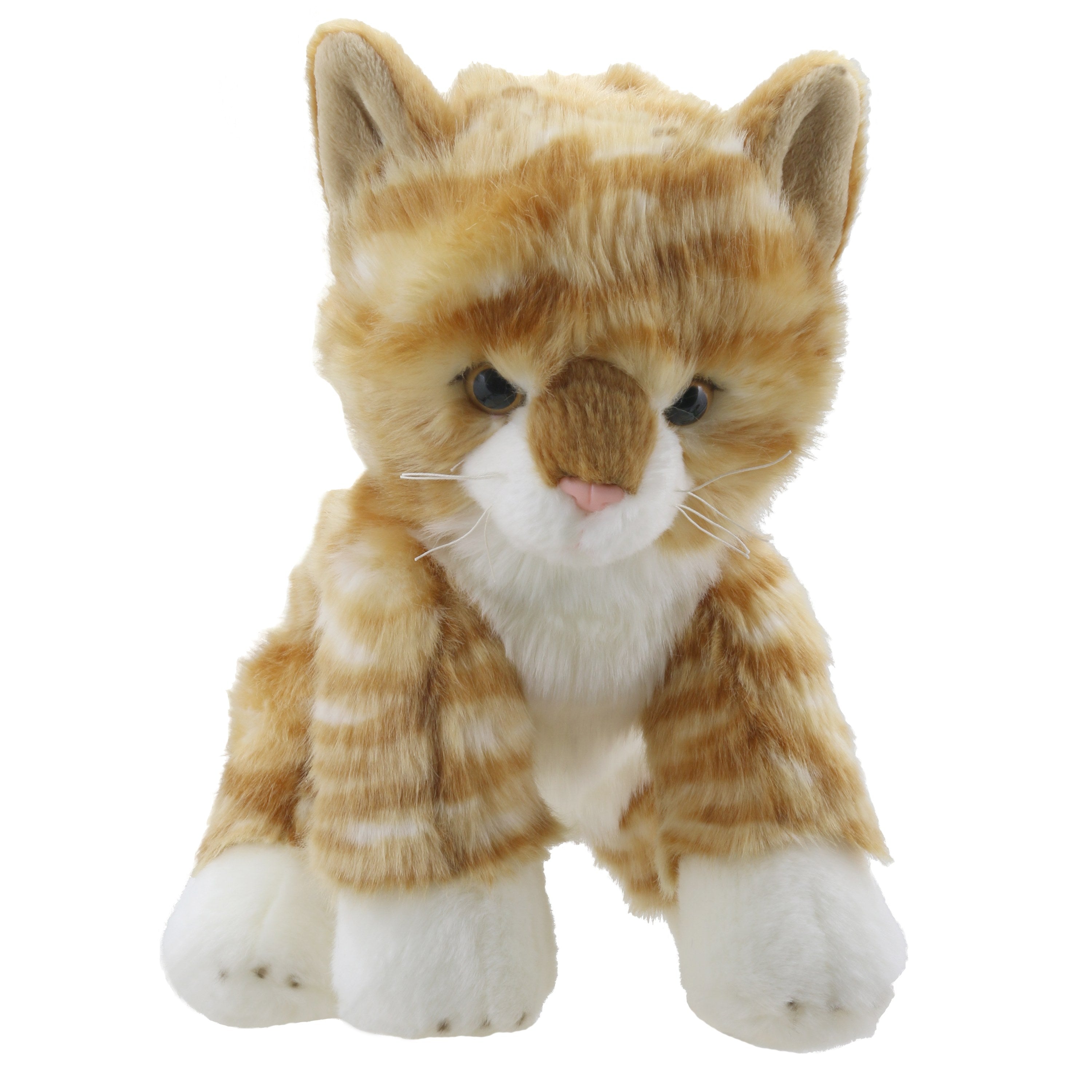 Gato (Naranja)