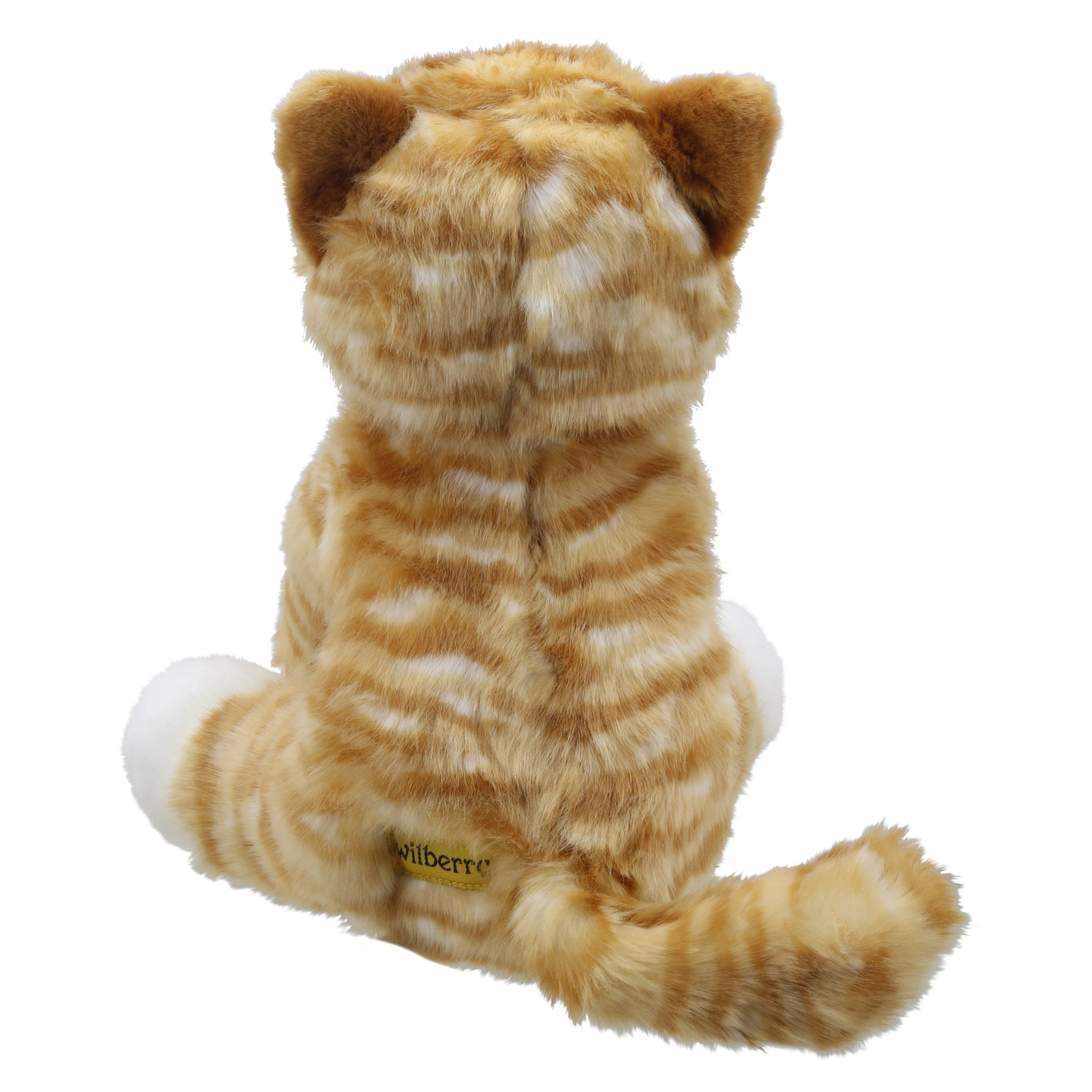 Gato (Naranja)