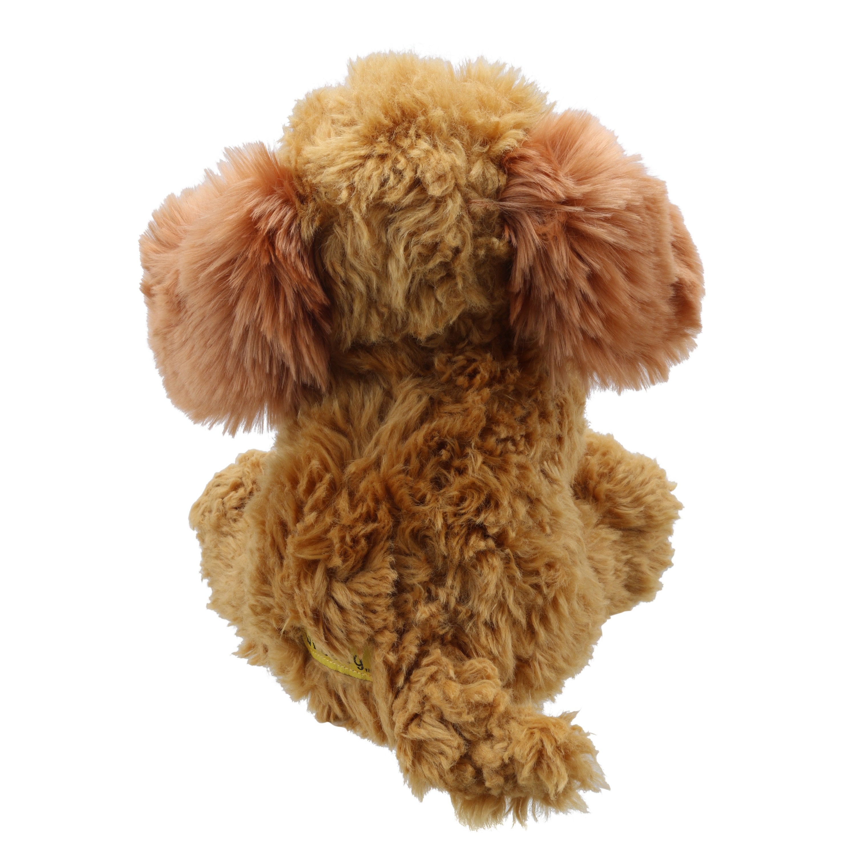 Cockapoo (Dorado)