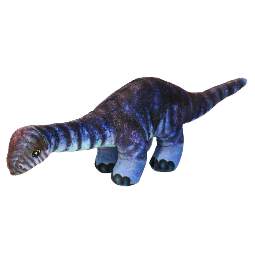 Diplodocus Pequeño - Museo Historia Natural