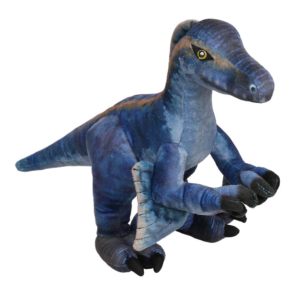Velociraptor Pequeño - Museo Historia Natural