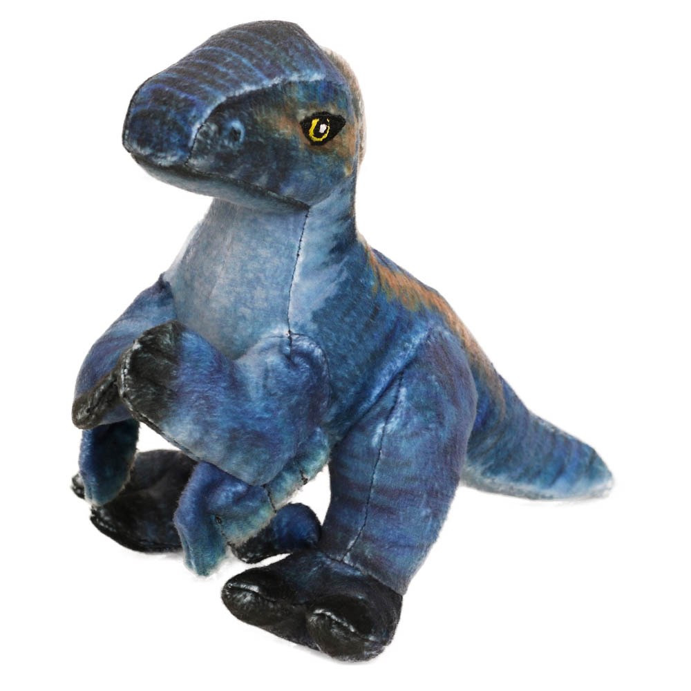 Velociraptor Pequeño - Museo Historia Natural
