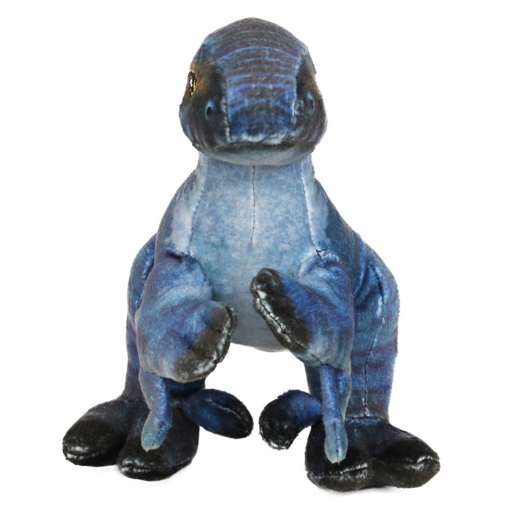 Velociraptor Pequeño - Museo Historia Natural