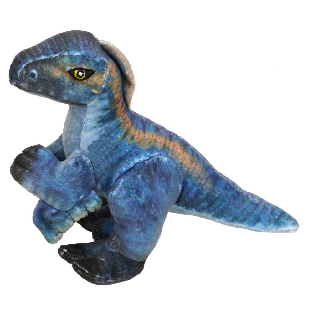 Velociraptor Pequeño - Museo Historia Natural