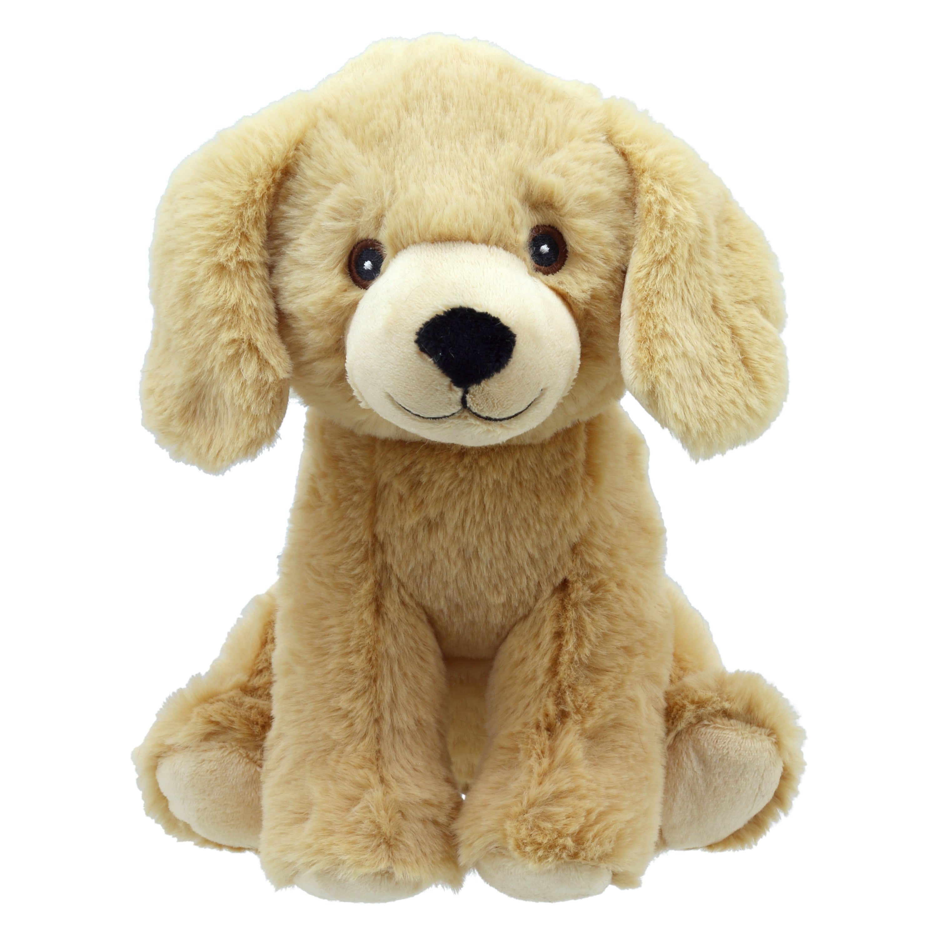 Lola - Labradora