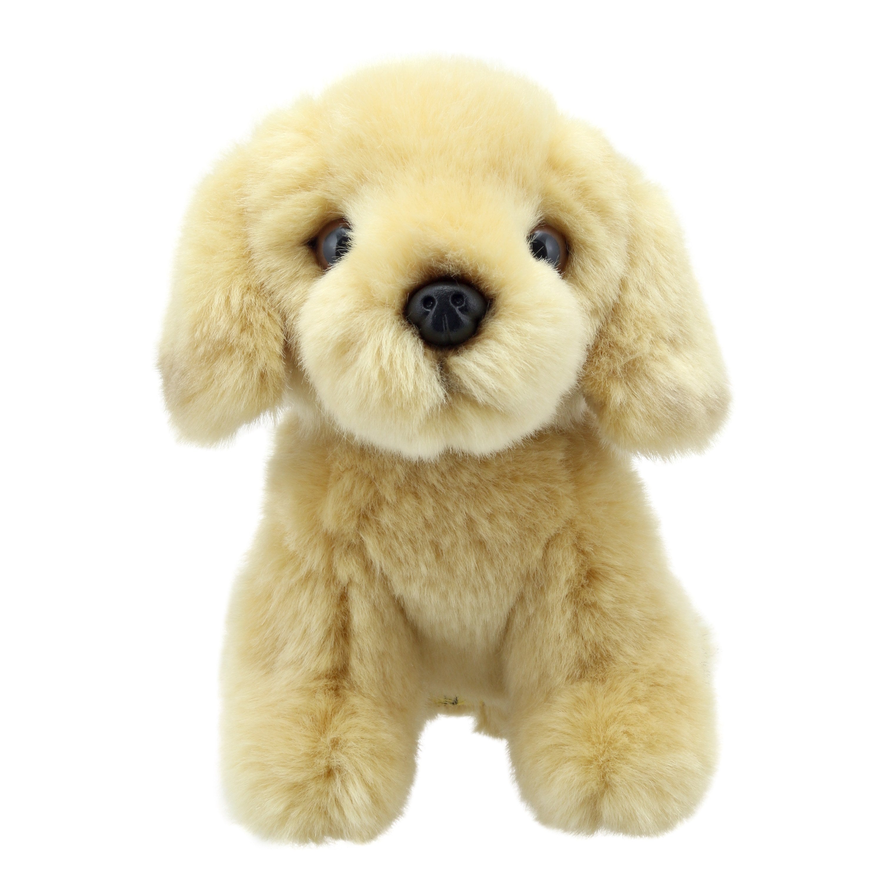 Wilberry Minis - Labrador (Amarillo)