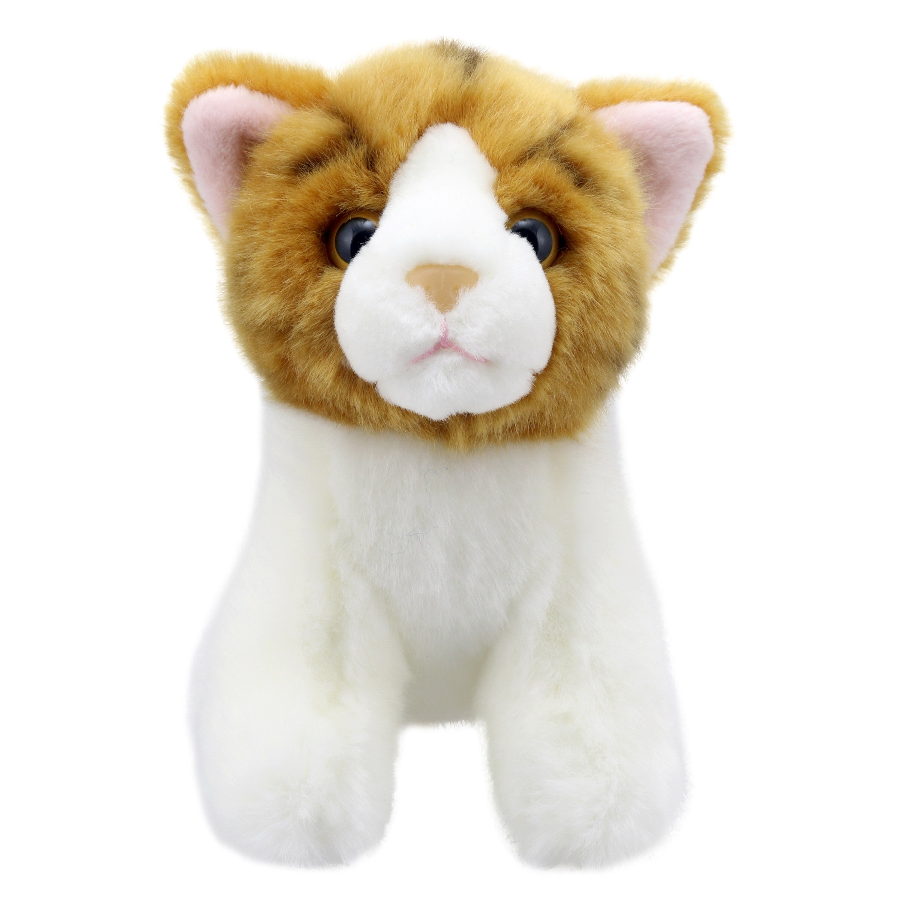 Wilberry Minis - Gato (Naranja)