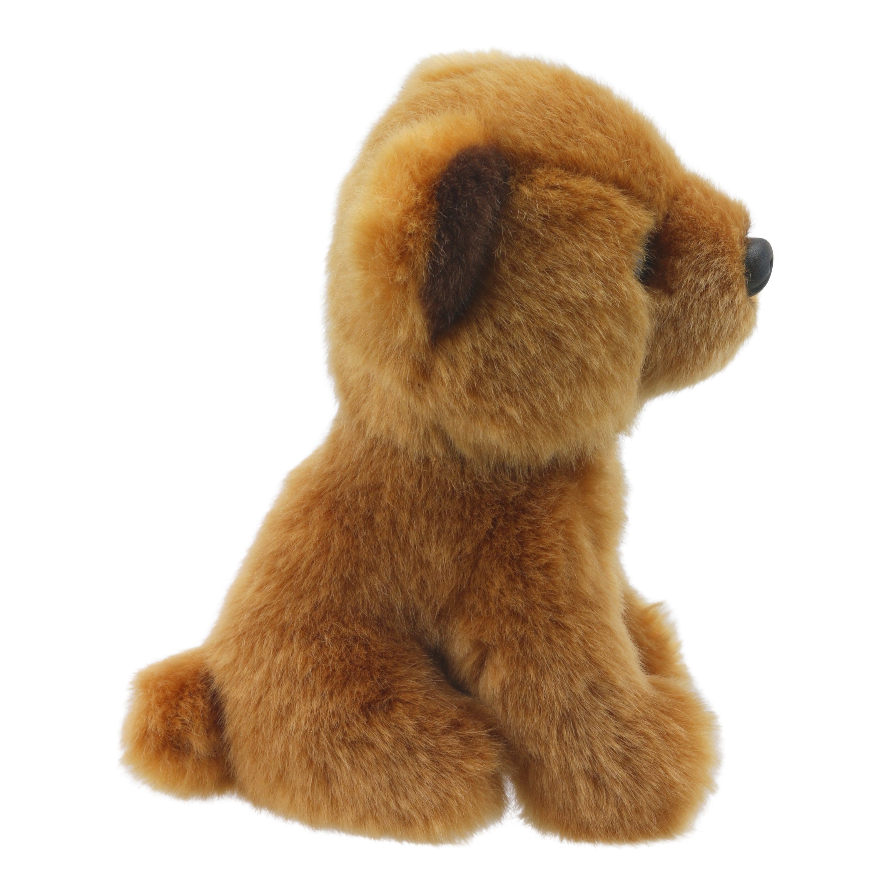 Wilberry Minis - Oso (Café)