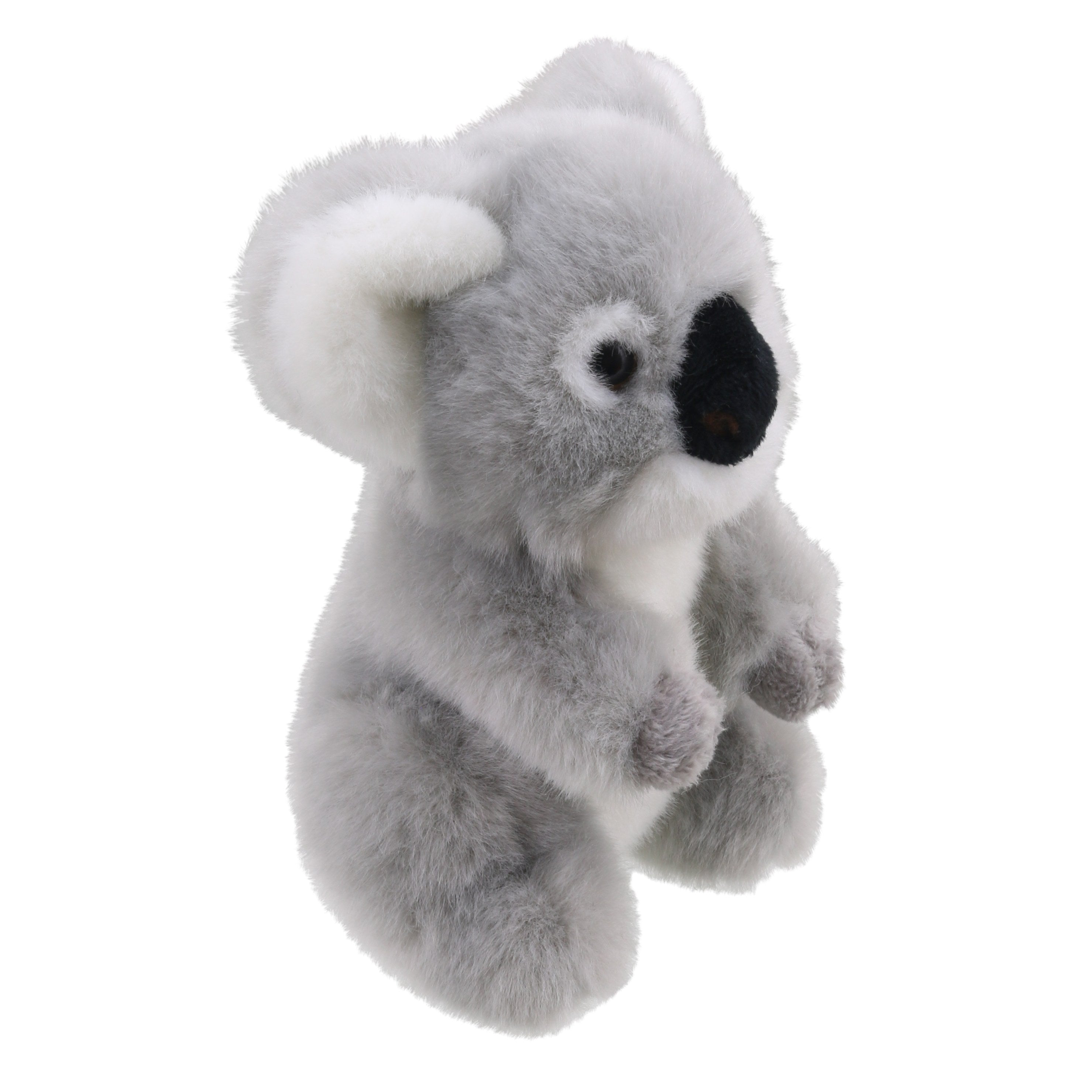 Wilberry Minis - Koala