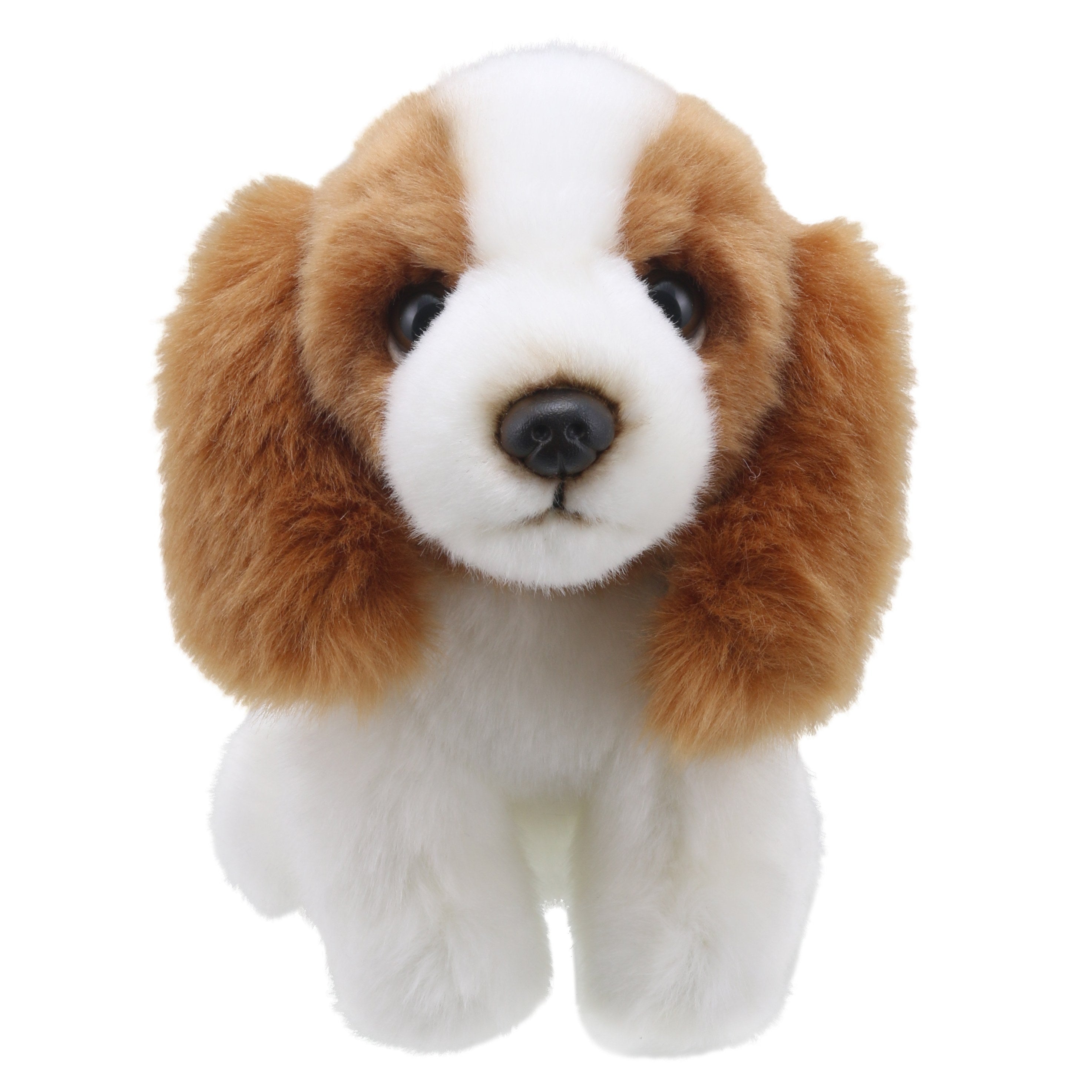 Wilberry Minis - King Charles Spaniel