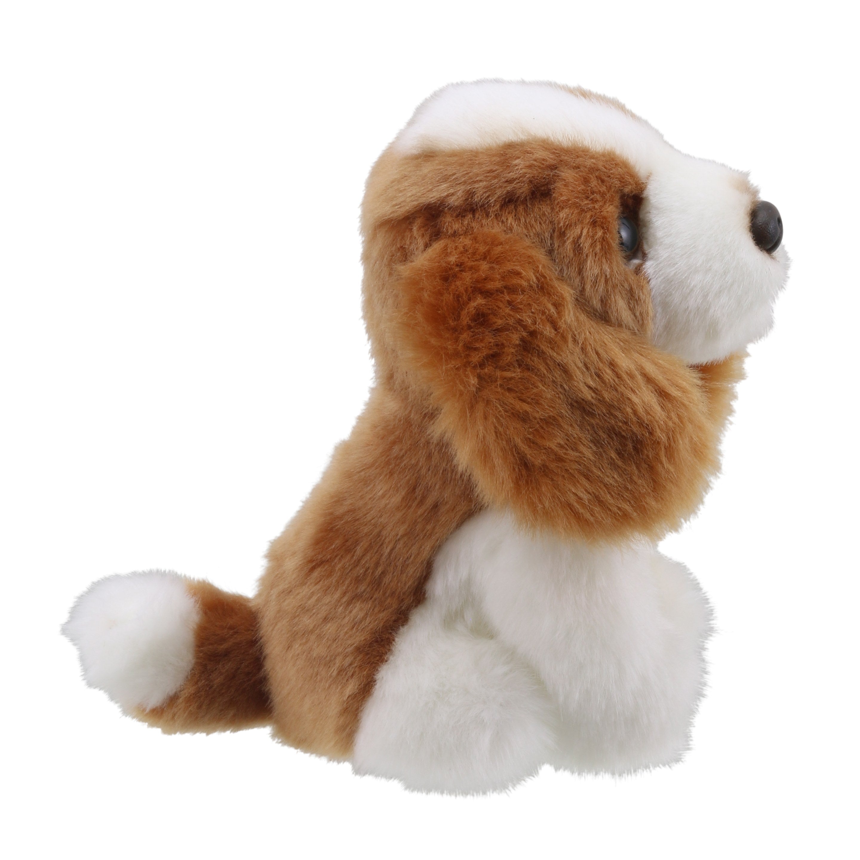 Wilberry Minis - King Charles Spaniel